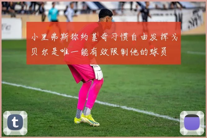 小里弗斯称约基奇习惯自由发挥戈贝尔是唯一能有效限制他的球员